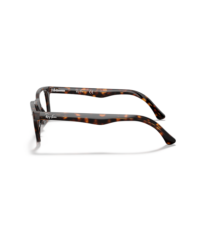 Rx5228 Optics