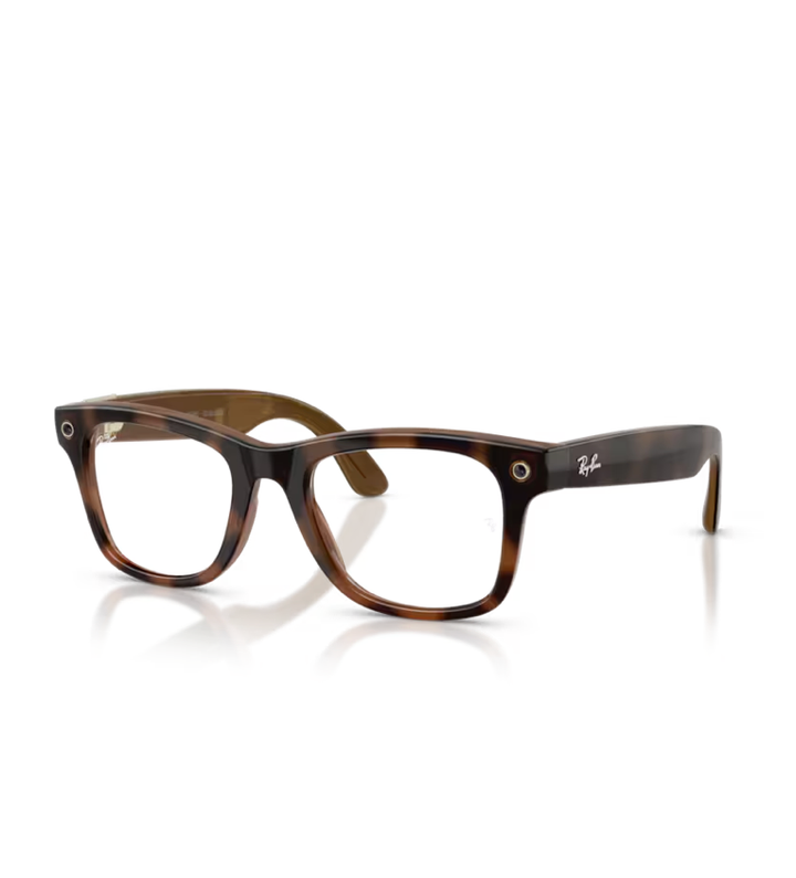 RAY-BAN META (GEN 3) WAYFARER RW4011V (VISTA)