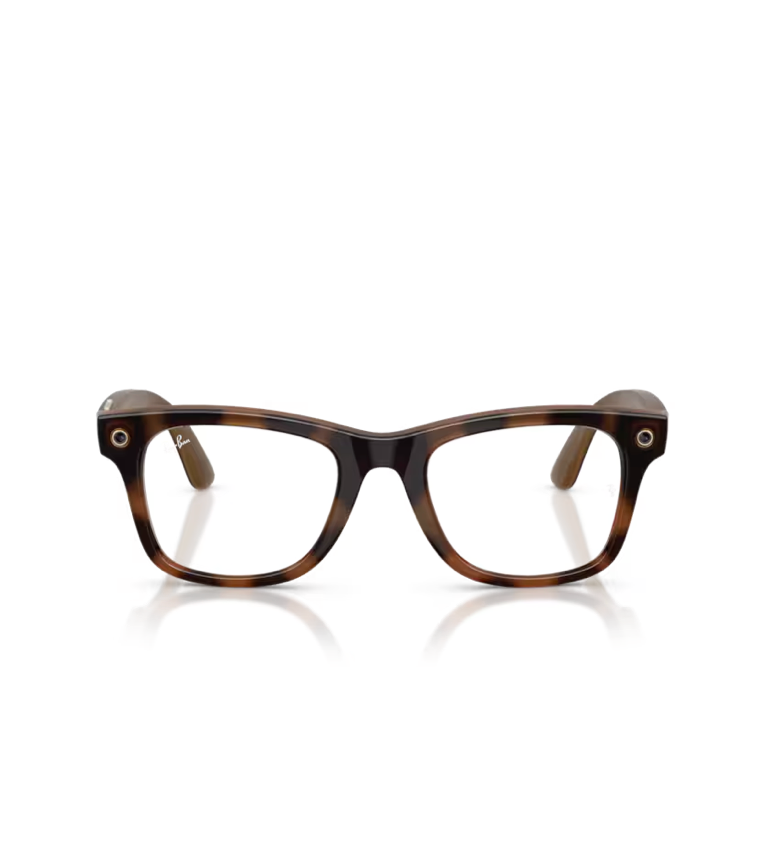 RAY-BAN META (GEN 3) WAYFARER RW4011V (VISTA)