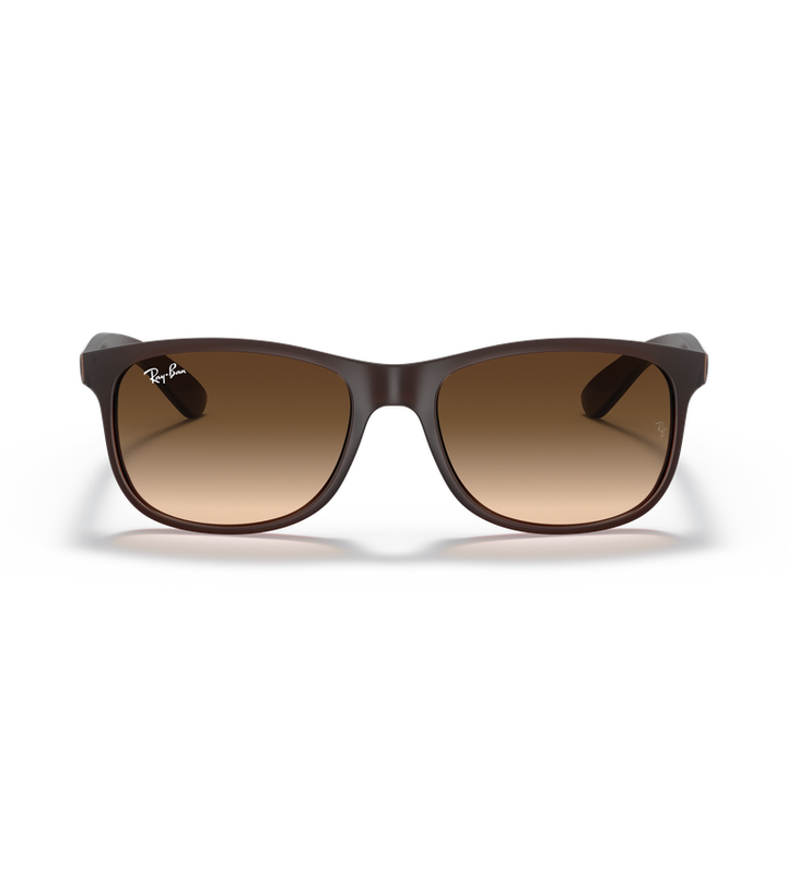 Ray-Ban Andy RB4202 occhiali da sole squadrati marrone opaco con lenti marrone sfumato - vista frontale