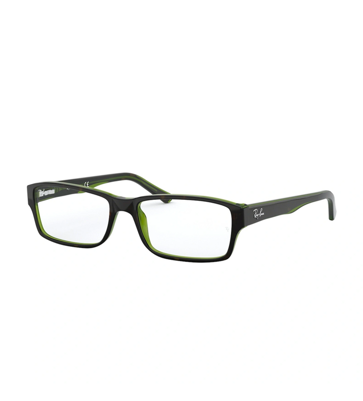 Rx5169 Optics