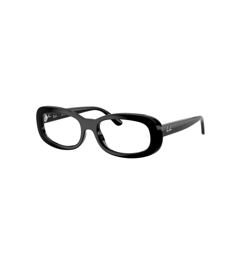 RX2221 Optics