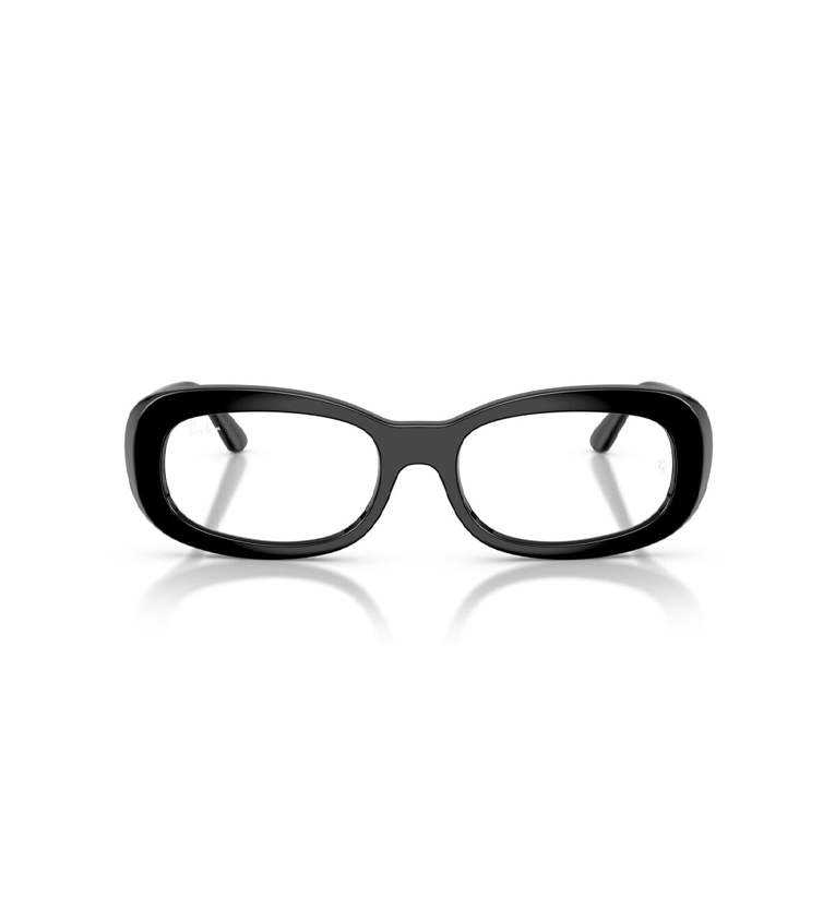 RX2221 Optics