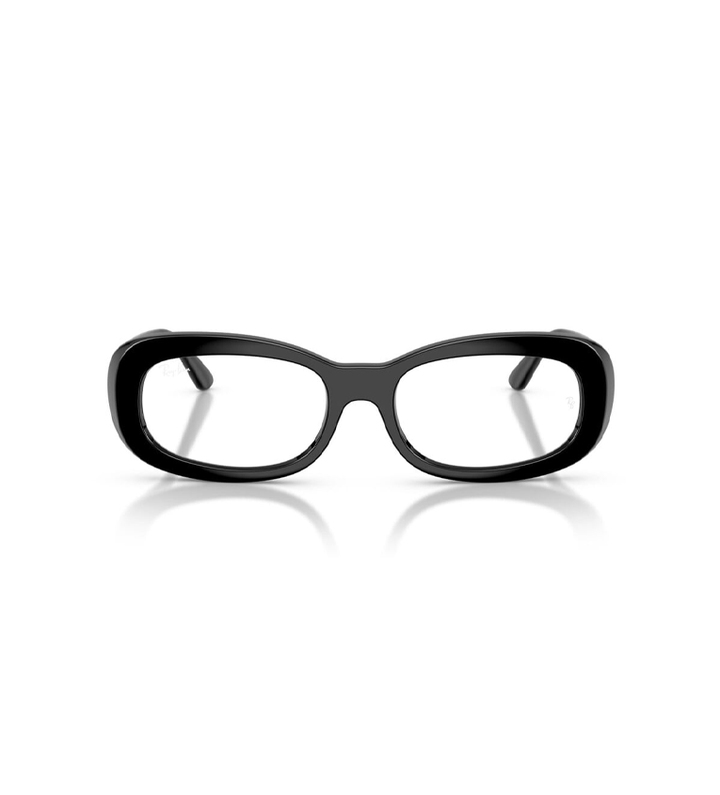 RX2221 Optics