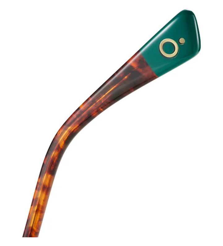 Etnia Barcelona New Moon GRHV occhiale da vista rettangolare in acetato tartarugato e verde - vista retro