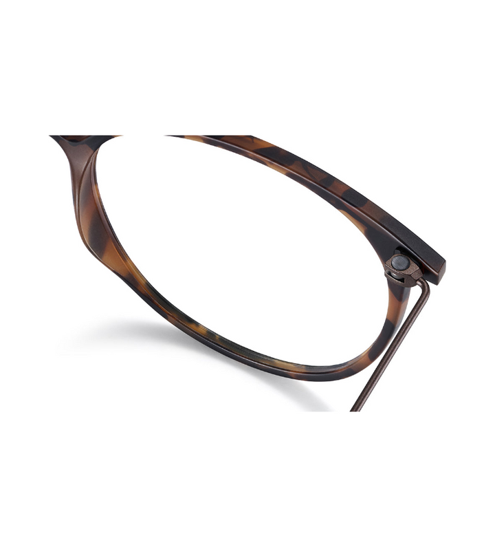 Lool Quoin II HVBR occhiale da vista donna panto havana e marrone - dettaglio