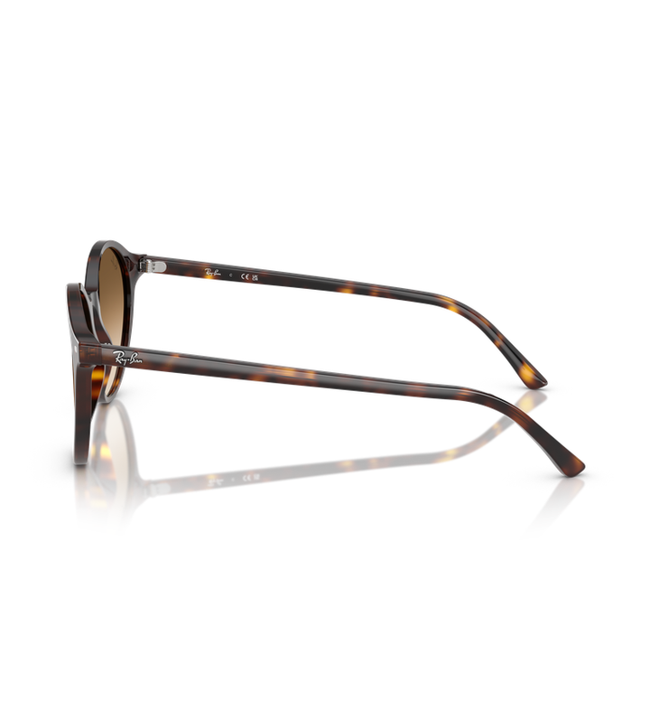Ray-Ban Bernard RB2230 occhiali da sole rotondi tartarugato lucido con lenti marrone sfumato - vista laterale